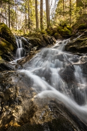 Texas Falls 5/3/20 - Hancock, VT